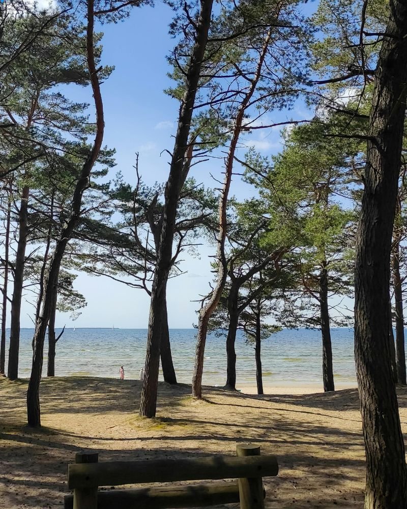 Lithuania campsites
